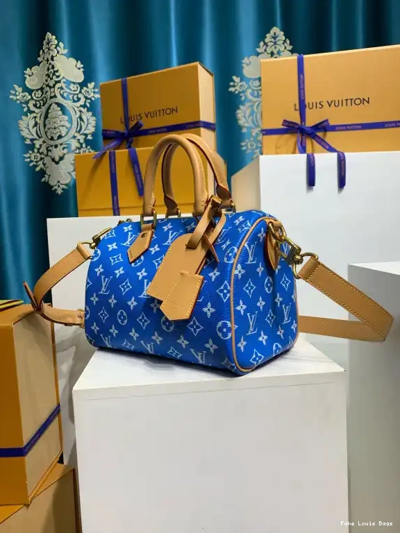 Fake Louis Bags Louis 25 Vuitton SPEEDY 0604